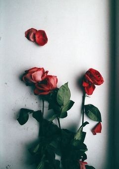 記憶の花弁