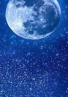 月夜に輝く輝夜姫