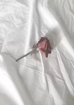 何も知らない君は
