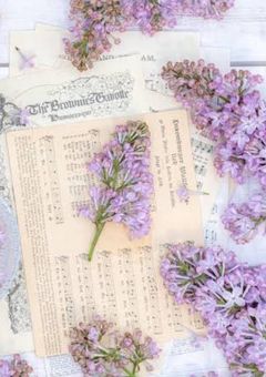 梦覇の独り言🫧💬