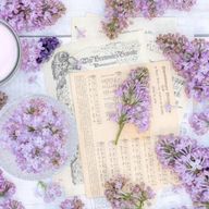 梦覇/YUMEHA/𝙸𝙽率低下さんのアイコン画像