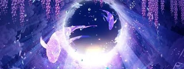 Anies🍭🍬☔さんの壁紙画像