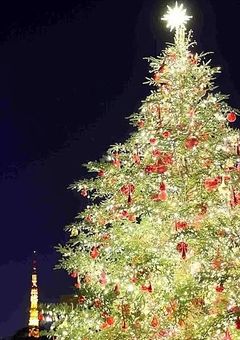 聖夜に会った彼は私の婚約者らしいです