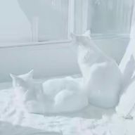 咲希さんのアイコン画像