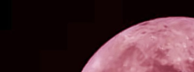 羽ばたかない𝓡𝓲𝓷💤さんの壁紙画像