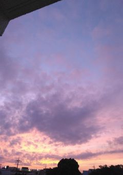 一緒に話そう！(許可者のみ)