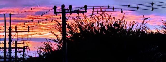 留駄@ペア画ちゅ♡さんの壁紙画像