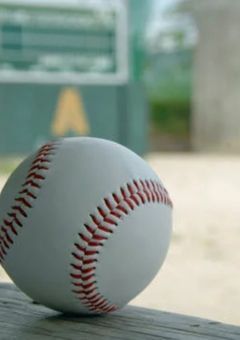 全員野球。～ひと夏に掛ける野球ボールへの想い〜