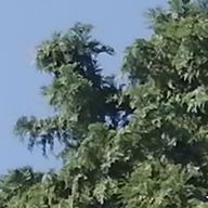 おもち　🌱🖇️さんのアイコン画像