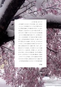 冷蔵庫に入れたままの愛