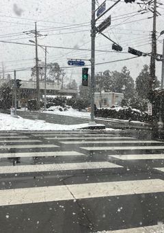 拙い言葉が舌足らずで