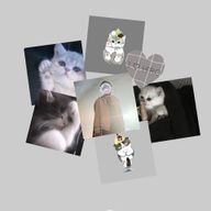灰猫🩶💎🐾さんのアイコン画像