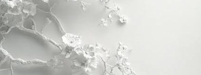 陽さんの壁紙画像