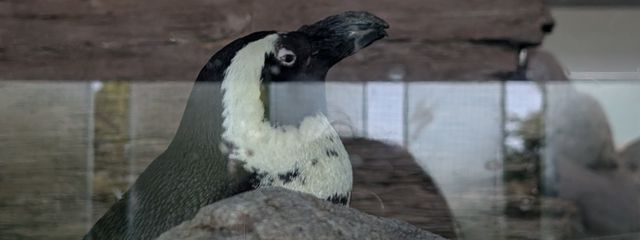 ใใฃใจ๐ โ๏ธ๐ ใใใฎๅฃ็ด็ปๅ