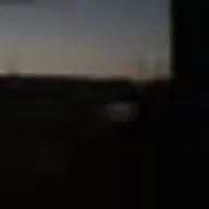 動物のなまけものさんのアイコン画像