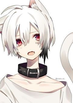 ＿猫愛っ！＿ （❦）
