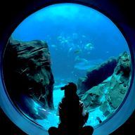 瀬戸。𓏲𓎨 さんのアイコン画像