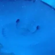 山瀬 群青さんのアイコン画像