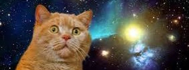 ぴこ@現在一部で活動中さんの壁紙画像