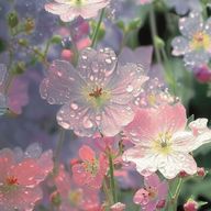 runa⭐︎さんのアイコン画像