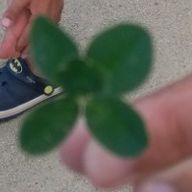 Ababaaさんのアイコン画像