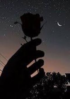 余命4ヶ月のマフィア