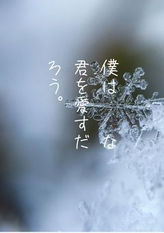 僕は____な君を愛すだろう。