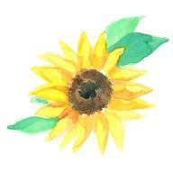 ひだまりねこさんのアイコン画像