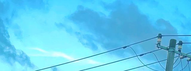 レオさんの壁紙画像