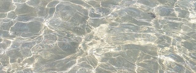 海老天さんの壁紙画像