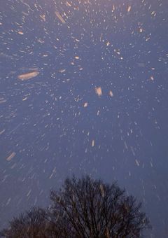 　雪が降る