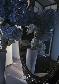 　病める時も健やかなる時も 。