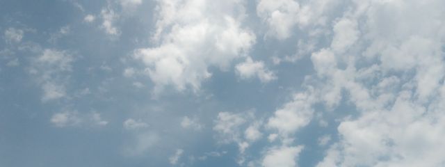 青空 雫@#楓の小説好きだからもう一度活動しよう？さんの壁紙画像