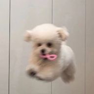 ㅁ ㄹさんのアイコン画像