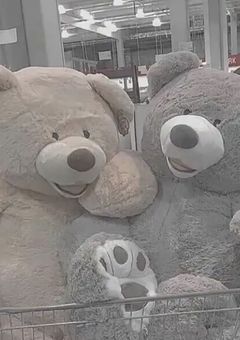 嫌われてると思ったら愛されてた件