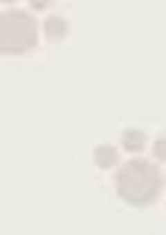 ワンダショ、本当の猫だったようで。