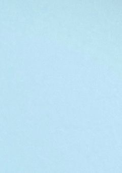 #.愛され1期生、"復活"したらしい.