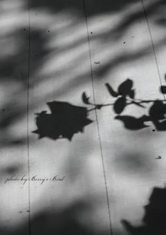 SnowManのマネージャー