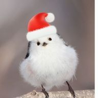 momokaさんのアイコン画像