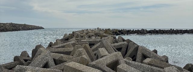 とりにくさんの壁紙画像