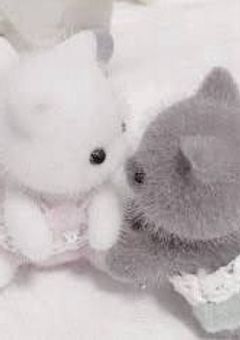 生徒会長に恋をした！