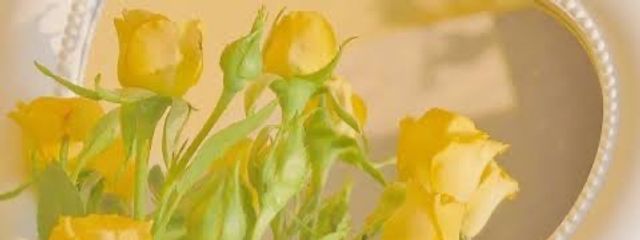 こはく🫧💫さんの壁紙画像