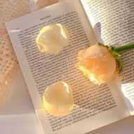 こはく🫧💫さんのアイコン画像