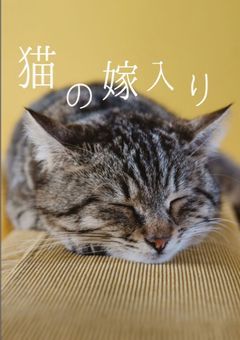 猫の嫁入り　