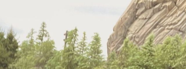 恋魔 蓮 🖤🔪💎現在無浮上さんの壁紙画像