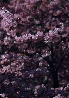 Prologue_君は1人じゃない_