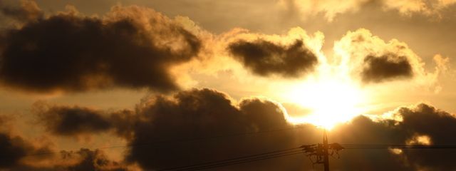 SKY treeさんの壁紙画像