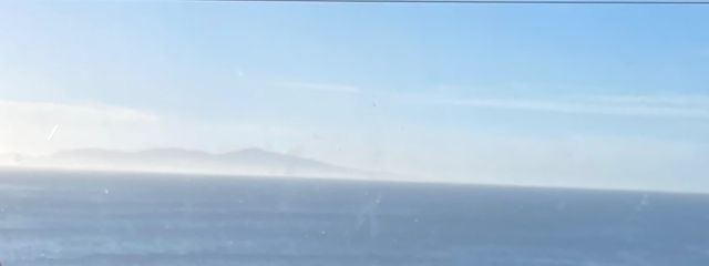 ざっそう  🐈‍⬛💍さんの壁紙画像