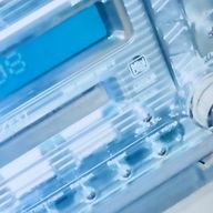 ざっそう  🐈‍⬛💍さんのアイコン画像