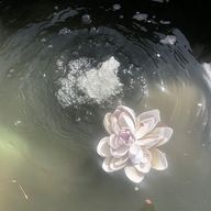 ♩さんのアイコン画像